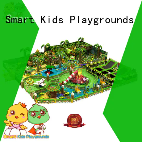Quality Smart Kids Playgrounds Brand plastic jungle gym happy