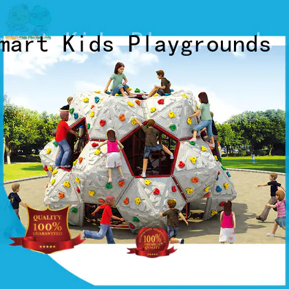 Wholesale rock kids climbing Smart Kids Playgrounds Brand