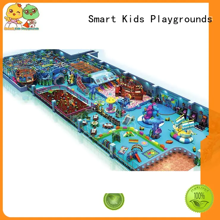 Quality Smart Kids Playgrounds Brand ocean themed toys for toddlers castle children